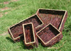 Image of Assorted Trays