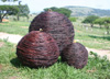 Image of Balls