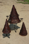 Image of Mixed Xmas Trees