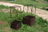 Image of Lanterns