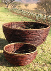 Image of Hanging Baskets